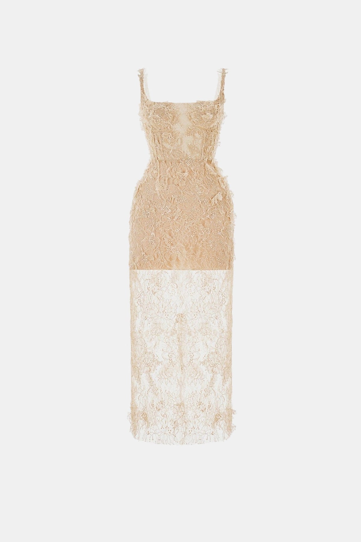 Beige Beaded Lace Fitted Dress by Montsand