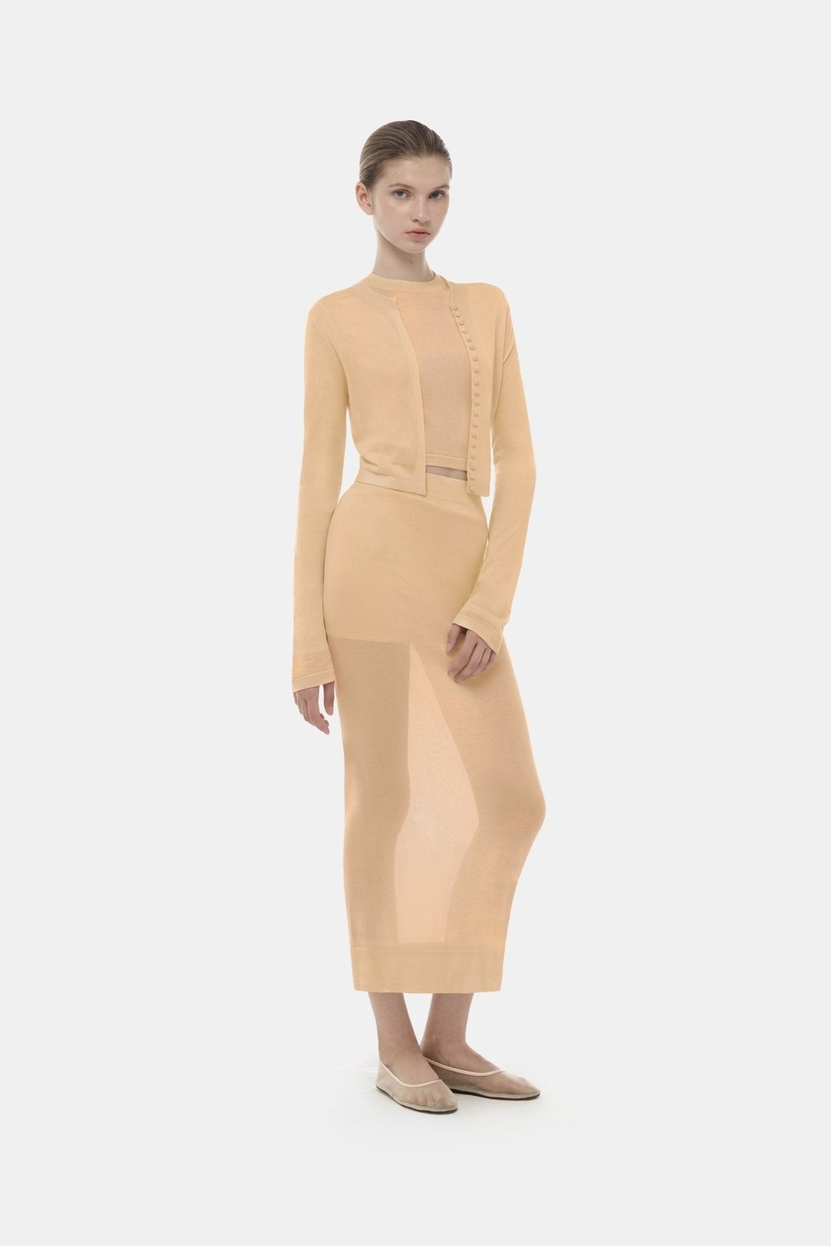 Camel Sheer Layered Midi Skirt by Montsand